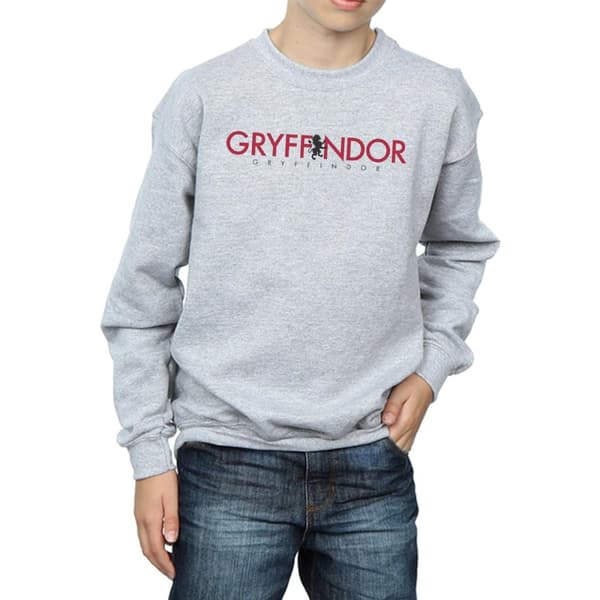 Harry Potter Boys Gryffindor Text Sweatshirt