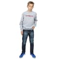 Miniatyrbilde 4 av 5: Harry Potter Boys Gryffindor Text Sweatshirt