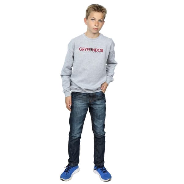 Harry Potter Boys Gryffindor Text Sweatshirt