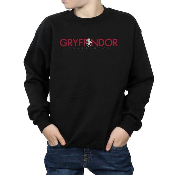 Harry Potter Boys Gryffindor Text Sweatshirt