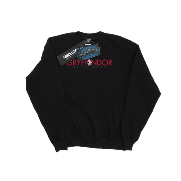 Harry Potter Boys Gryffindor Text Sweatshirt