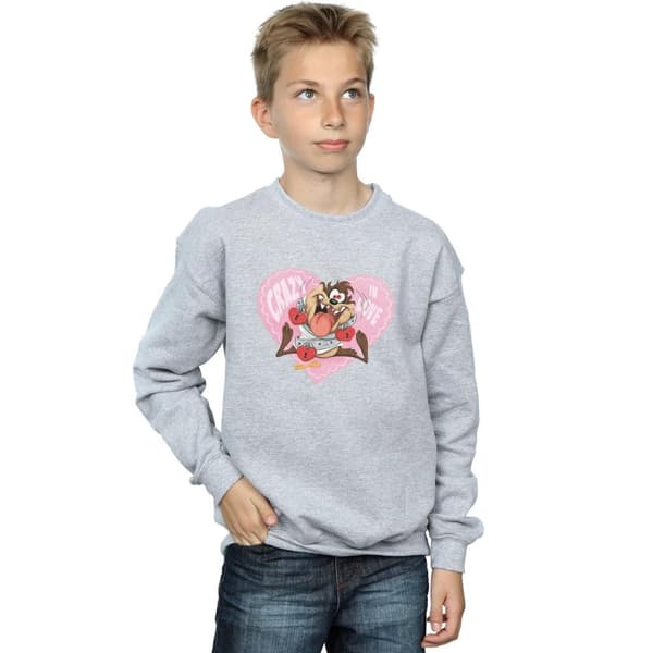 Looney Tunes Boys Taz Valentine´s Day Crazy In Love Sweatshirt