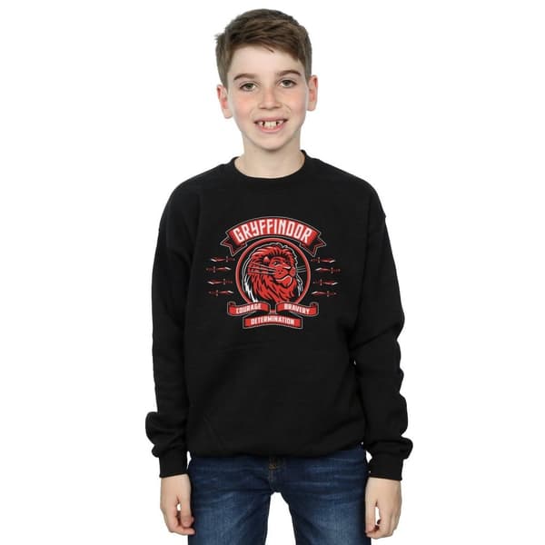Harry Potter Boys Gryffindor Toon Crest Sweatshirt