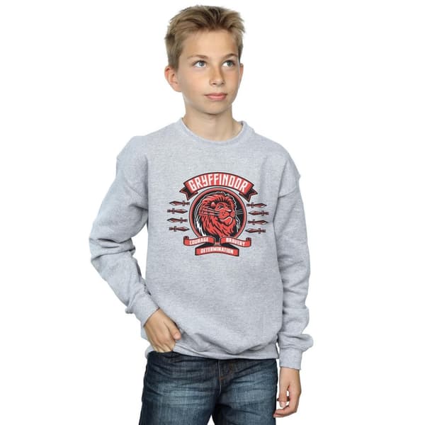 Harry Potter Boys Gryffindor Toon Crest Sweatshirt