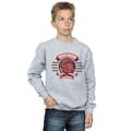 Miniatyrbillede 2 af 3: Harry Potter Boys Gryffindor Toon Crest Sweatshirt