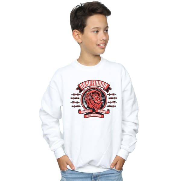 Harry Potter Boys Gryffindor Toon Crest Sweatshirt