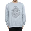Miniatyrbilde 3 av 5: Harry Potter Mens Hogwarts Draco Dormiens Crest Sweatshirt