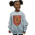 Miniatyrbillede 2 af 5: Harry Potter Girls Gryffindor Crest Flat Sweatshirt
