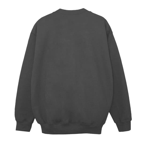 Looney Tunes Sylvester Colour Code Sweatshirt för herrar