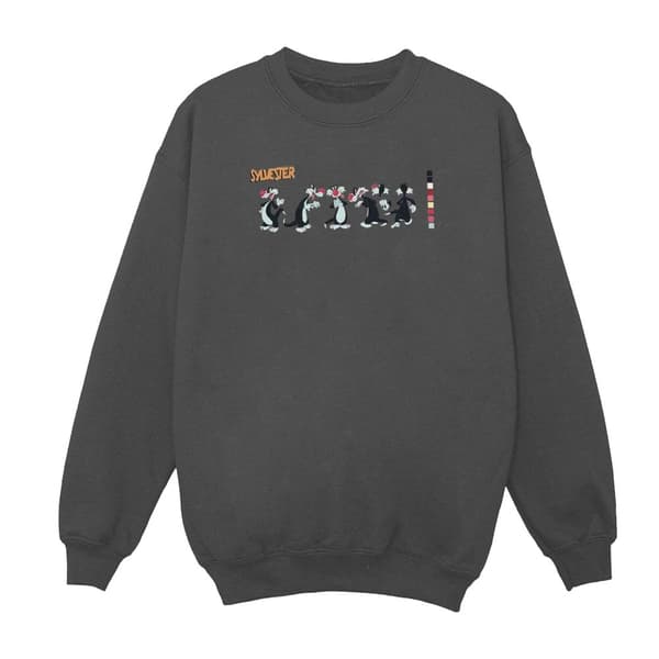 Looney Tunes Sylvester Colour Code Sweatshirt för herrar