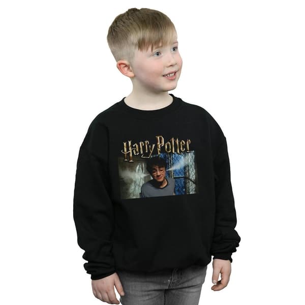 Harry Potter Boys Steam Ears Sweatshirt