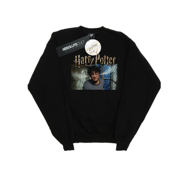 Harry Potter Boys Steam Ears Sweatshirt