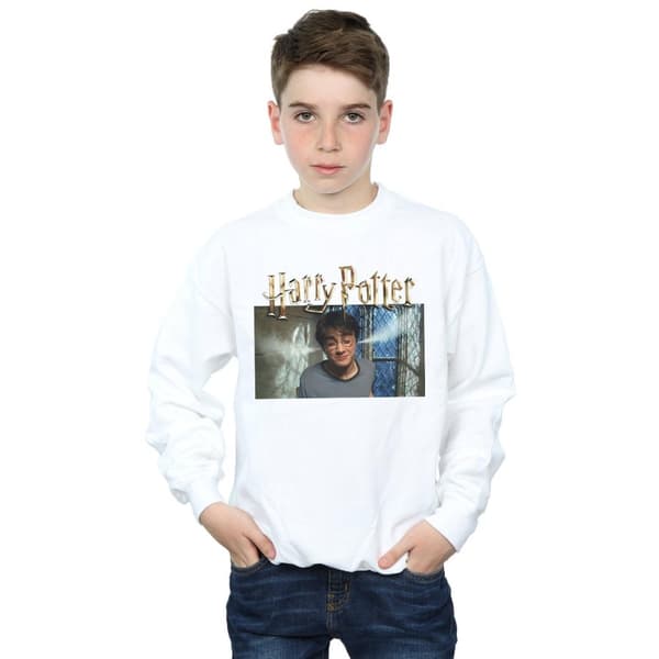 Harry Potter Boys Steam Ears Sweatshirt