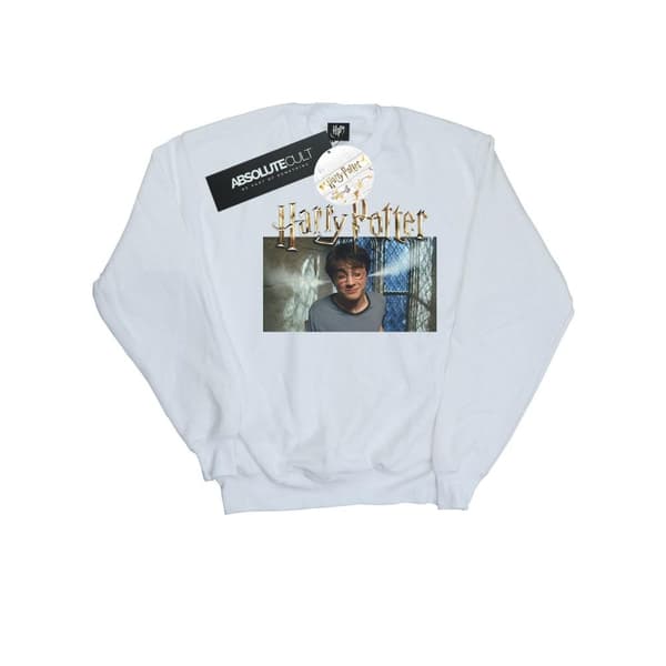 Harry Potter Boys Steam Ears Sweatshirt