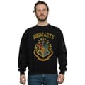 Miniatyrbillede 2 af 3: Harry Potter Mens Hogwarts Varsity Sweatshirt