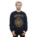 Miniatyrbillede 2 af 3: Harry Potter Mens Hogwarts Varsity Sweatshirt