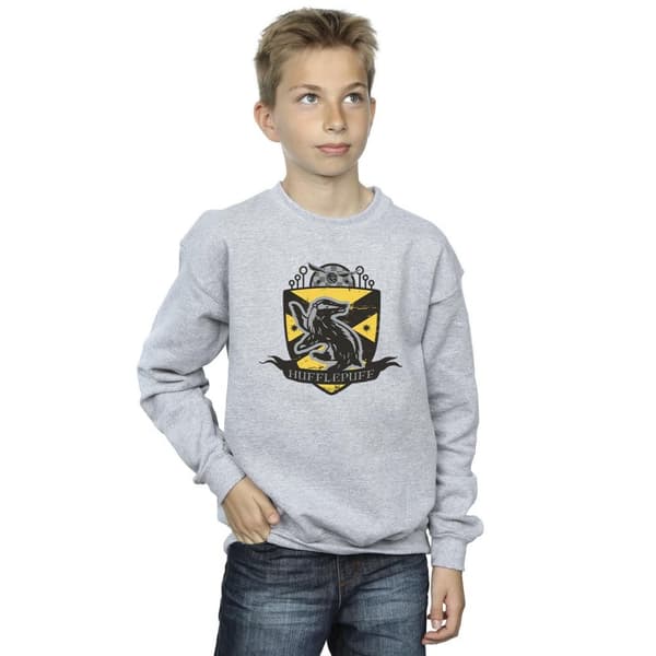 Harry Potter Boys Hufflepuff Chest Badge Sweatshirt