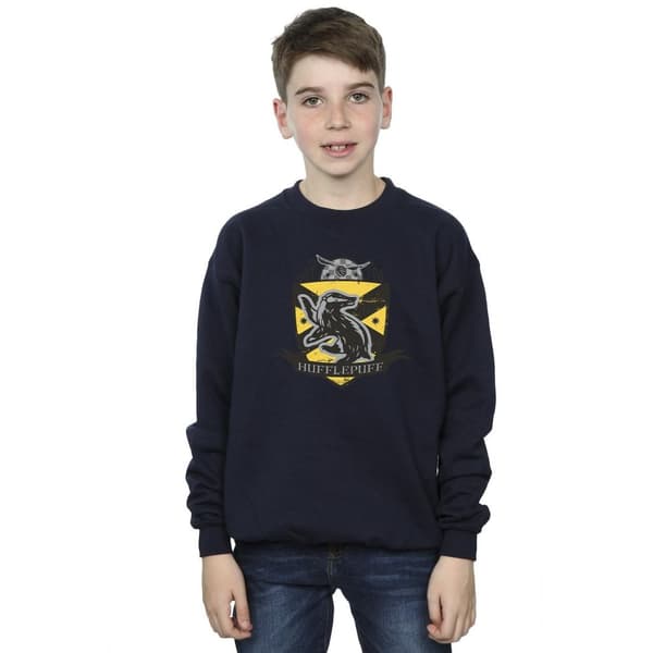Harry Potter Boys Hufflepuff Chest Badge Sweatshirt