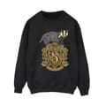Pikkukuva 1 / 3: Harry Potter Womens/Ladies Hufflepuff Sketch Crest Sweatshirt