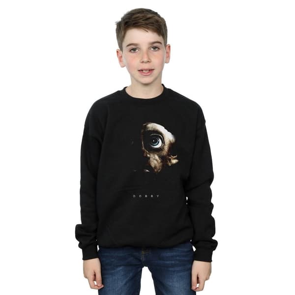 Harry Potter Pojkar Dobby Portrait Sweatshirt