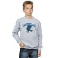 Miniatyrbillede 2 af 5: Harry Potter Boys Ravenclaw Sport Emblem Sweatshirt