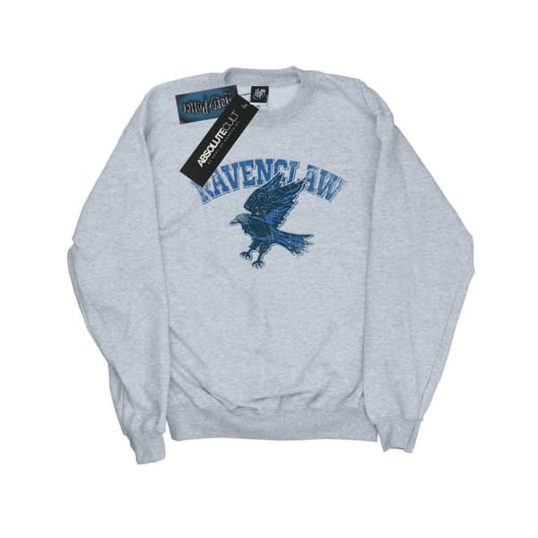 Harry Potter Boys Ravenclaw Sport Emblem Sweatshirt Sports Grey 9-11 Years