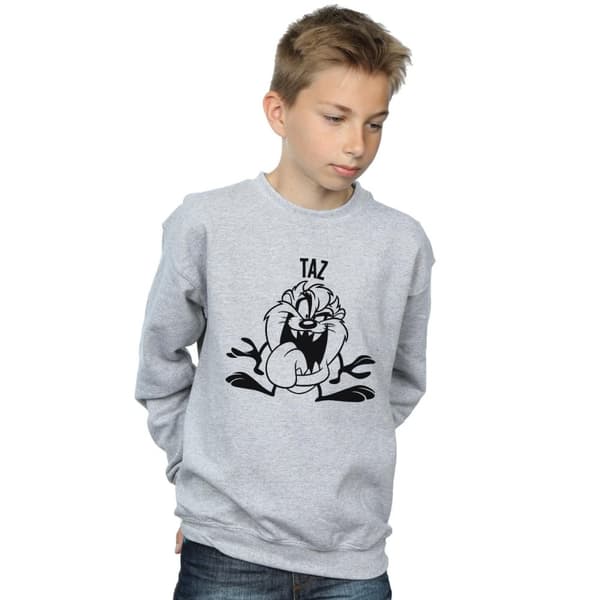 Looney Tunes Boys Taz Large Head Sweatshirt