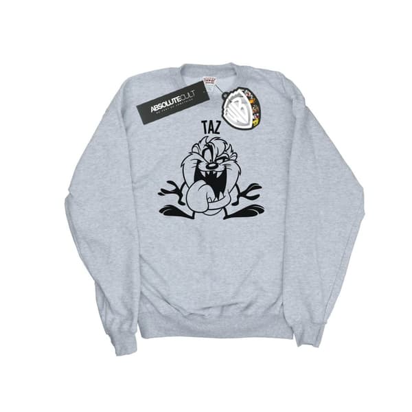 Looney Tunes Boys Taz Large Head Sweatshirt