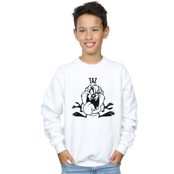 Looney Tunes Boys Taz Large Head Sweatshirt