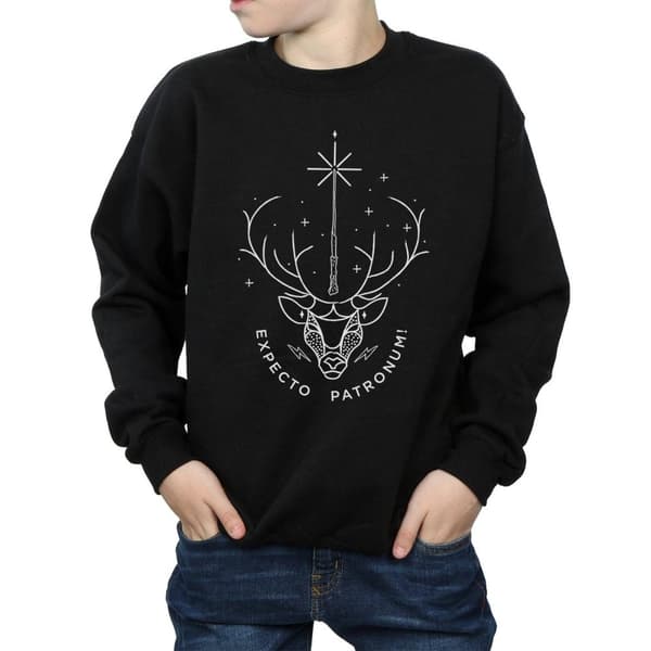 Harry Potter Boys Expecto Patronum Charm Sweatshirt