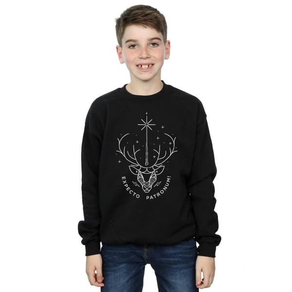 Harry Potter Boys Expecto Patronum Charm Sweatshirt