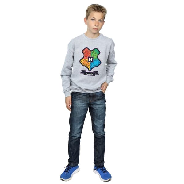 Harry Potter Boys Hogwarts Junior Crest Sweatshirt
