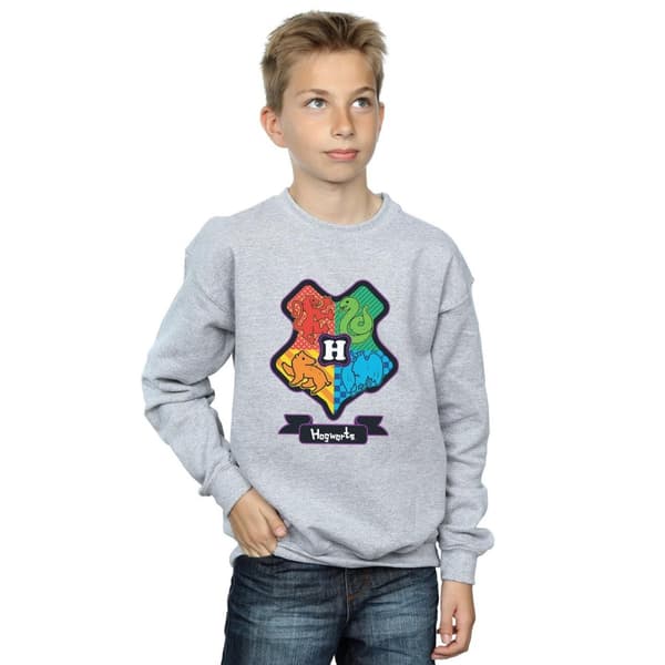 Harry Potter Boys Hogwarts Junior Crest Sweatshirt