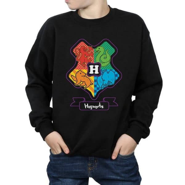 Harry Potter Boys Hogwarts Junior Crest Sweatshirt