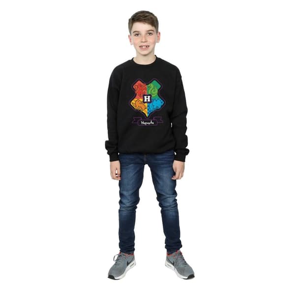 Harry Potter Boys Hogwarts Junior Crest Sweatshirt