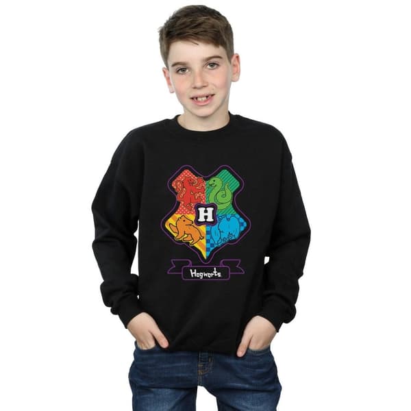 Harry Potter Boys Hogwarts Junior Crest Sweatshirt