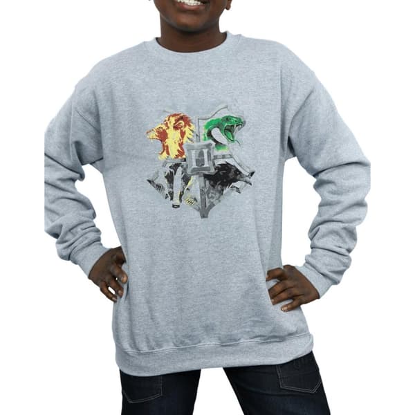 Harry Potter Boys Hogwarts Painted Crest Sweatshirt