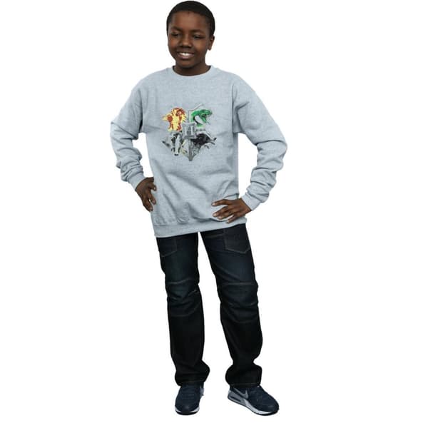Harry Potter Boys Hogwarts Painted Crest Sweatshirt