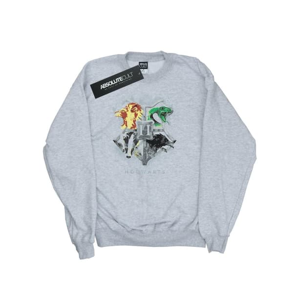 Harry Potter Boys Hogwarts Painted Crest Sweatshirt