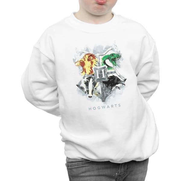 Harry Potter Boys Hogwarts Painted Crest Sweatshirt