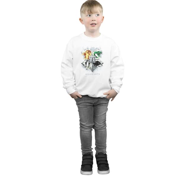 Harry Potter Boys Hogwarts Painted Crest Sweatshirt
