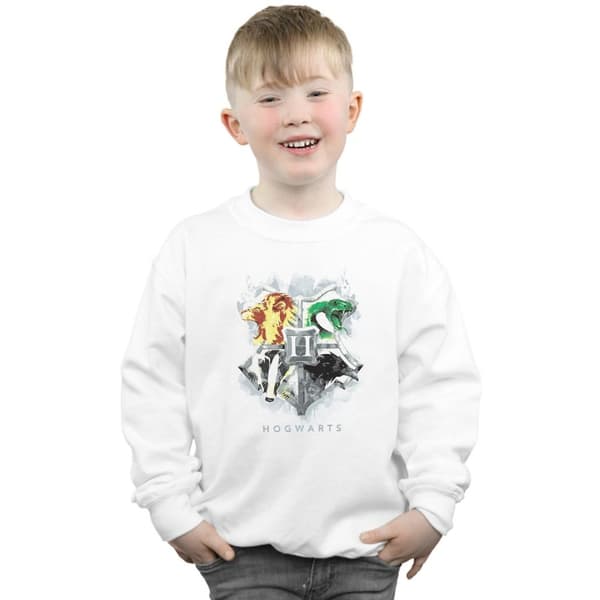 Harry Potter Boys Hogwarts Painted Crest Sweatshirt