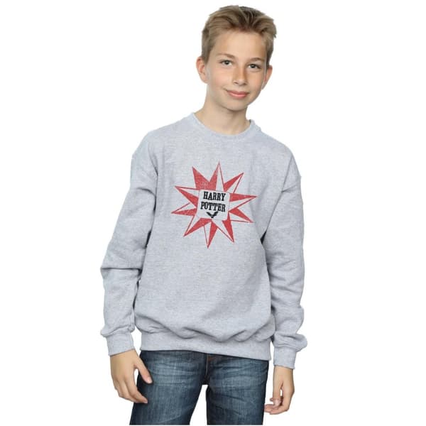 Harry Potter Boys Hedwig Star Sweatshirt