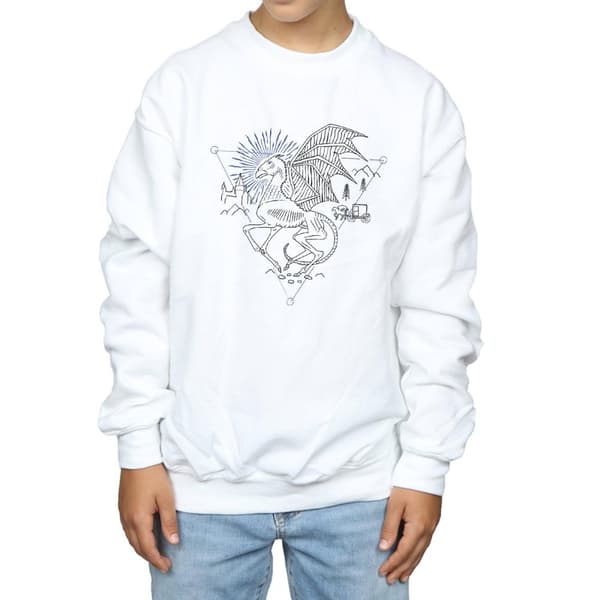 Harry Potter Boys Thestral Line Art Sweatshirt