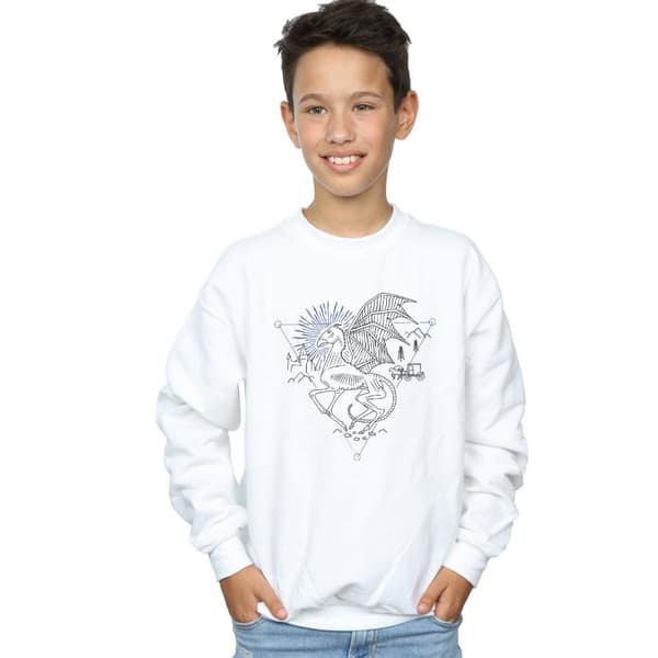 Harry Potter Boys Thestral Line Art Sweatshirt