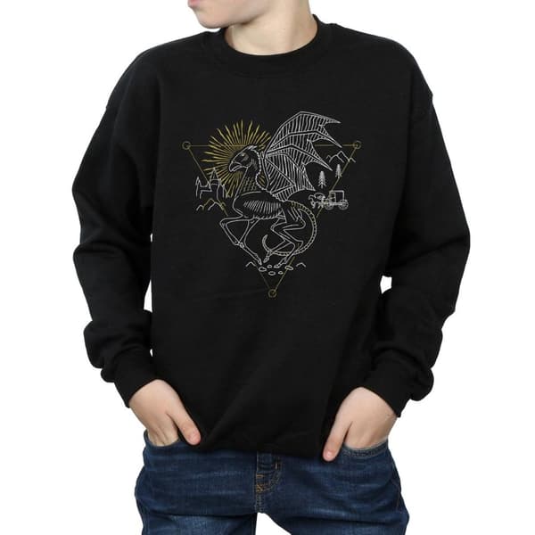 Harry Potter Boys Thestral Line Art Sweatshirt