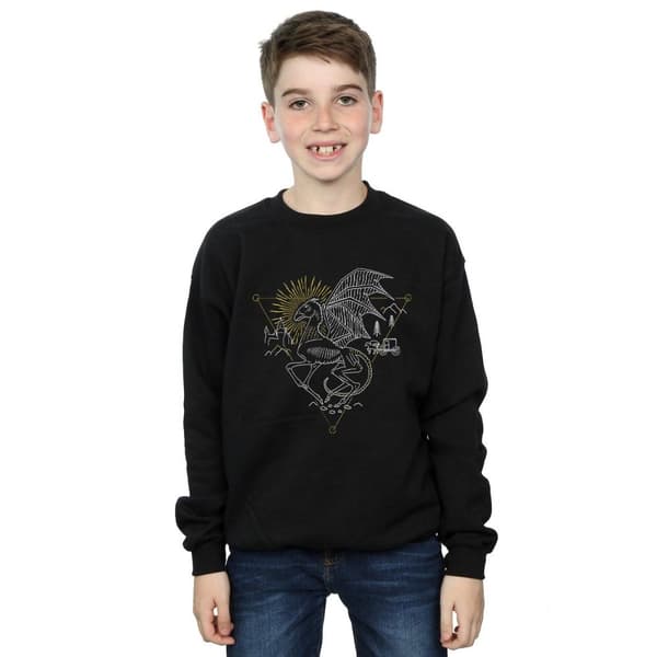 Harry Potter Boys Thestral Line Art Sweatshirt