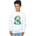 Miniatyrbilde 2 av 5: Harry Potter Boys Slytherin Snake Sweatshirt