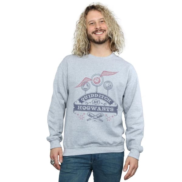 Harry Potter Mens Quidditch At Hogwarts Sweatshirt