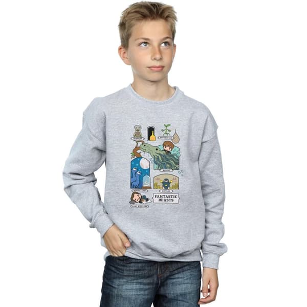 Fantastic Beasts Boys Chibi Newt Sweatshirt